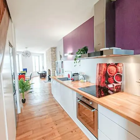 شقة Cosy Pyrenees 2ch - Vue Sur Le Chateau Et Parking Prive *